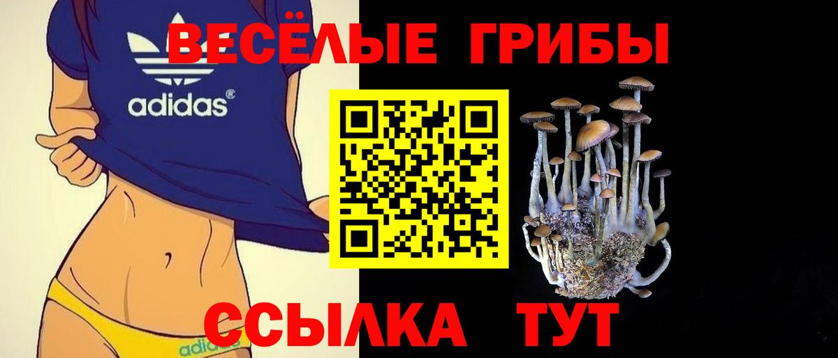 Псилоцибиновые грибы прущие грибы Вичуга